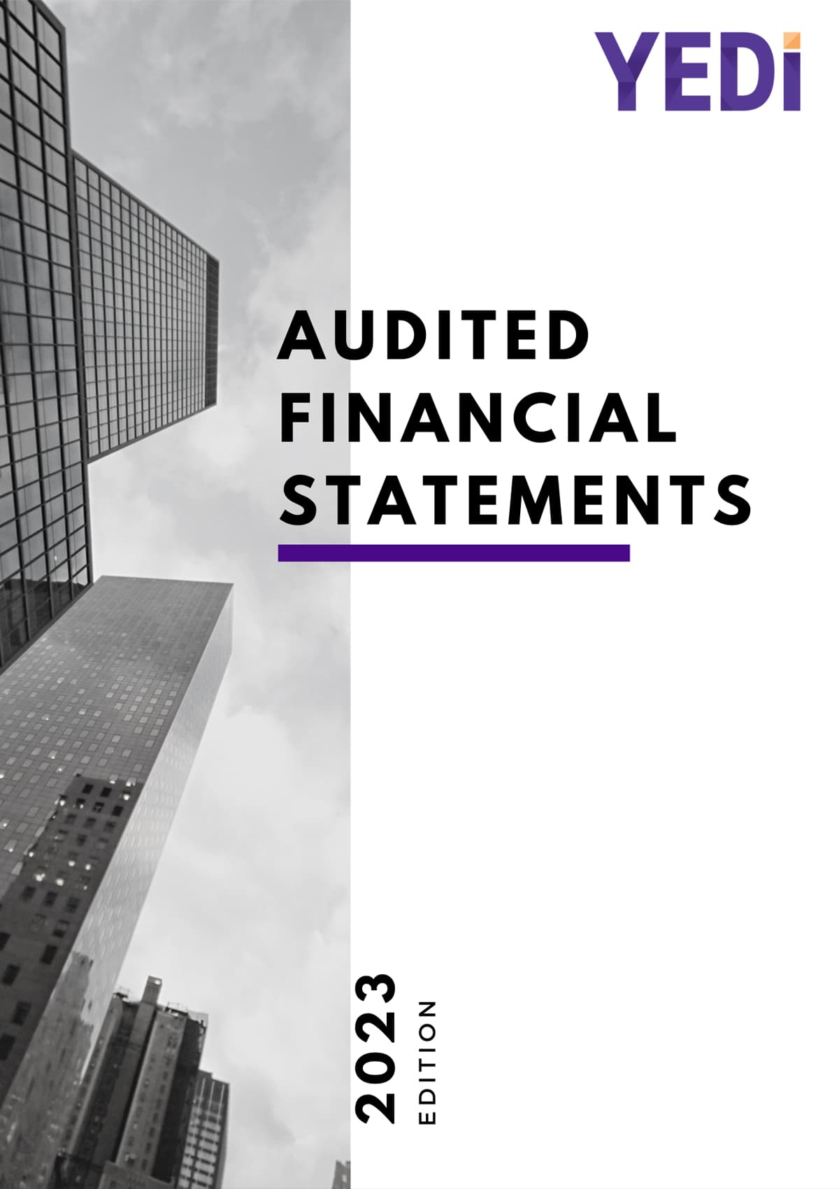 YEDI 2023 Audited Financial Statements